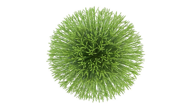 Green virus cell with spikes isolated on a transparent background microscopic - Powered by Adobe