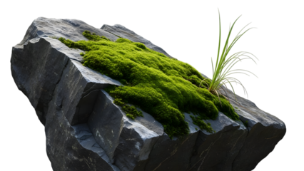 Large gray rock with green moss and grass isolated on a transparent background stone