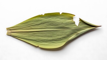Single banana leaf on white background