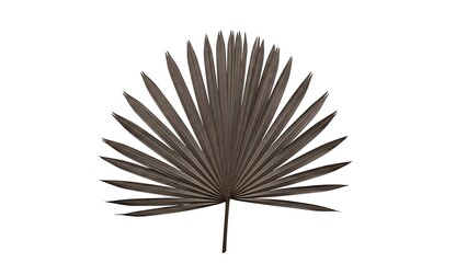 Obraz premium Single palm leaf illustration
