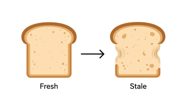 Simple illustration comparing a slice of fresh bread to a slice of stale, dried out, and shrunken bread over time.