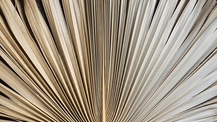 Obraz premium Abstract fan blade arrangement