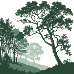 Forest edge with dense trees fading into distance green