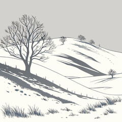 Snowy hill with bare trees and gentle slopes rolling hills