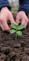 seedling growing in ecology with a person's hands in the soil, symbolizing environmental responsibility and sustainable agricultural practices. The focus is on eco-friendly farming, Generative AI