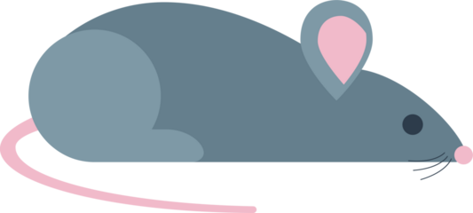 Gray mouse illustration depicts rodent resting, showcasing delicate features, pink ears, long tail, simple design.