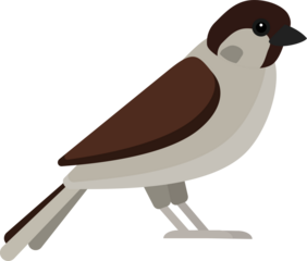 Charming sparrow displays brown, gray plumage with delicate features, perched calmly in natural pose.