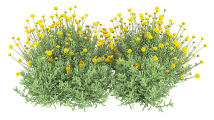 Various types of flowers grass bushes shrub and small plants isolated © Poprock3d