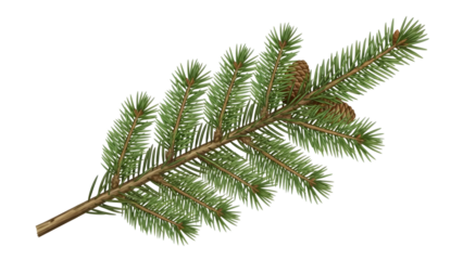 Pine tree branch with green needles and brown stem isolated on a transparent background