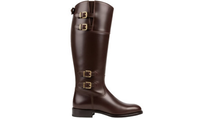 Isolated knee-high leather riding boot, brown with gold buckles and classic equestrian style