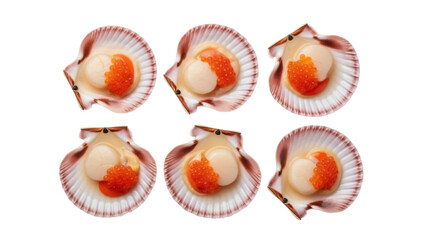 Isolated Seafood offering a delicate raw scallop with roe for eating or gourmet cuisine