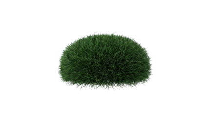 Isolated realistic dark green dense bush or shrub on white background