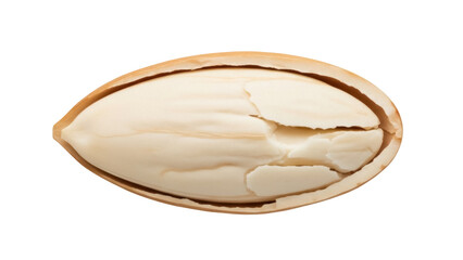 Isolated single shelled almond, cracked open, showing the kernel inside ready to eat