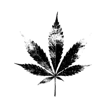 Minimal cannabis leaf stencil on white background