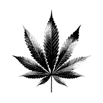 Front view cannabis leaf silhouette gobo texture
