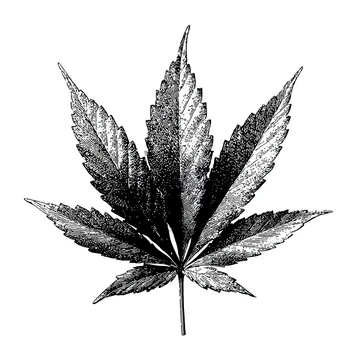 Single cannabis leaf gobo stencil in black and white