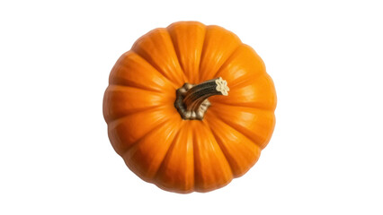 Isolated orange pumpkin for Halloween or Thanksgiving, autumn food harvest bounty