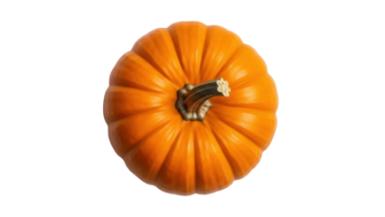 Isolated orange pumpkin for Halloween or Thanksgiving, autumn food harvest bounty