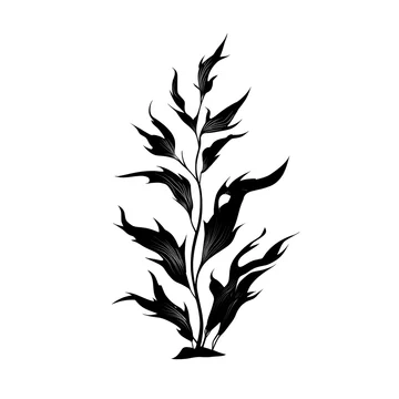 Organic seaweed silhouette texture with clean white space