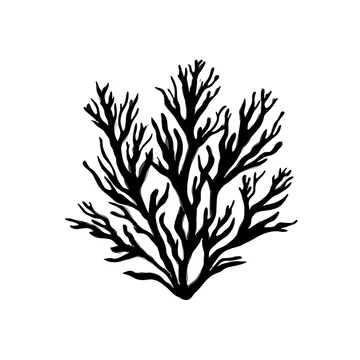 Abstract seaweed shape in bold black and white