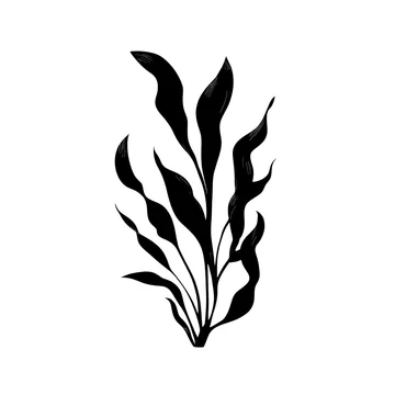 Seaweed silhouette gobo texture on white background