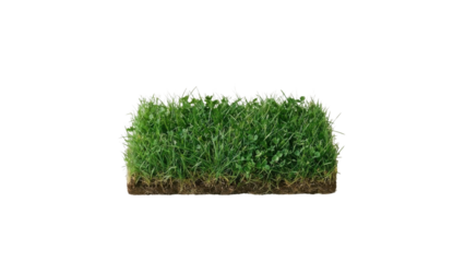 Fresh Green Grass Patch with Soil Isolated on White Background