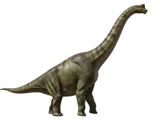 Isolated sauropod dinosaur is on a clean background and viewed in full standing profile side