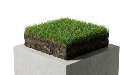 Isolated Square Grass Patch with Visible Soil Layer on Concrete Cube against White Background
