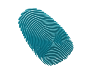 Isolated blue fingerprint unique identity sign. A biometric security scanning concept image.