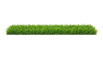 Naklejka premium Isolated Strip of Vibrant Green Grass on White Background