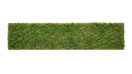 Green rectangular grass strip isolated on white background