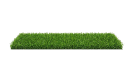 Rectangular Strip of Green Grass Isolated on White Background