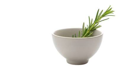 White ceramic bowl with rosemary sprig inside isolated on a transparent background green herb kitchenware