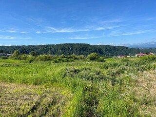 Rice Field in Nagano Prefecture, Japan