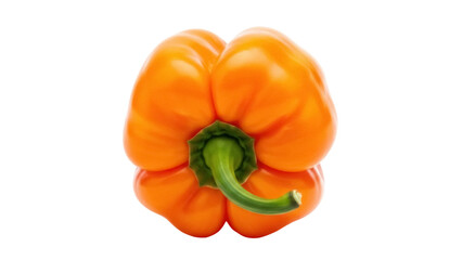 Isolated orange bell pepper ready to be used as an ingredient in cooking of healthy recipes