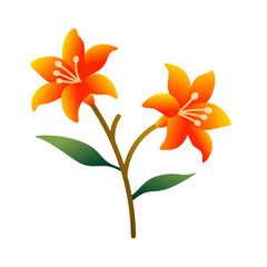 orange lily flower
