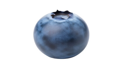 Isolated fresh blueberry for healthy eating, culinary uses, summer dessert or side dish