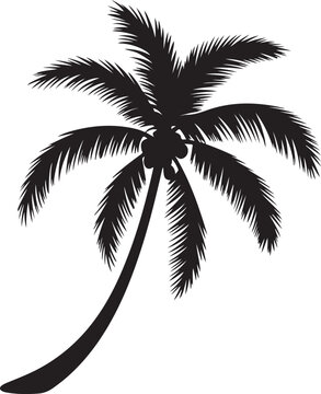  &ldquo;Palm Tree Silhouette &ndash; Tropical Tree Black Vector on White