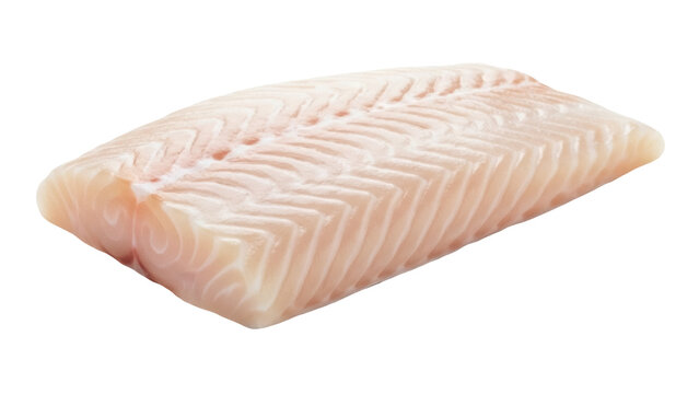 Isolated uncooked fish fillet, fresh piece of cod or halibut, healthy diet, gourmet ingredient