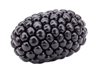 Isolated blackberry fruit, dark drupelet cluster of raw fresh ripe summer fruit, close up view