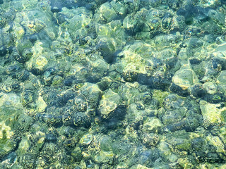 Clear Water Over Submerged Rocks