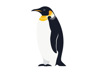 Cartoon Emperor Penguin Standing and Looking to the Side - Vector Illustration