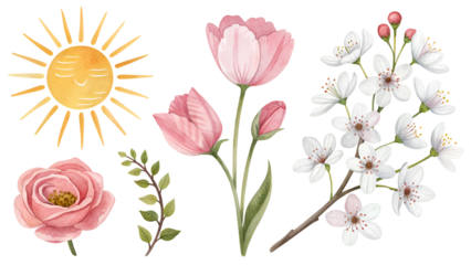 Charming watercolor spring elements set featuring blooming pink tulips, white cherry blossoms, a rose, and a cheerful sun illustration.