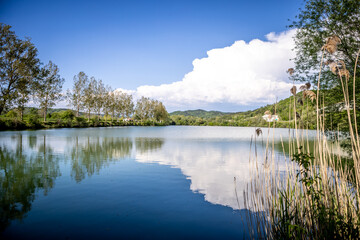 View of serene lake mirroring the azure sky and fluffy clouds, framed by verdant trees and reeds, offering a tranquil escape, Istria County, Croatia.
