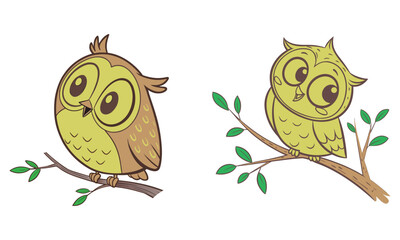 cartoon owl art and illustrator eps 10 isolated