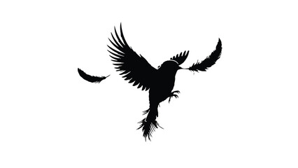 Black bird silhouette taking flight with feathers falling against a white background
