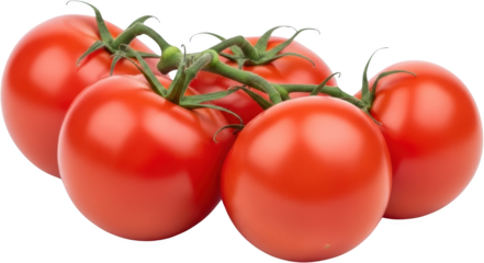 Cluster of ripe vibrant red tomatoes still attached to their green vine stems showcasing glossy fresh produce isolate Vegetable transparent background