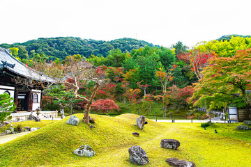 京都、高台寺の庭園
