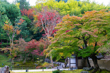 京都、高台寺の庭園