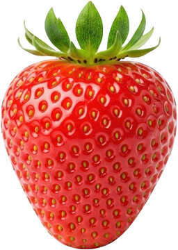 Vibrant ripe strawberry close up shows textured red flesh numerous yellow achenes and a bright green leafy calyx top isolate Fruit Fresh Closeup Transparent background